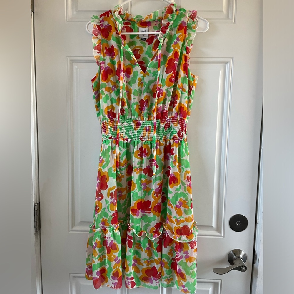 Women’s CAbi dress